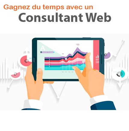 consultant web paris seo